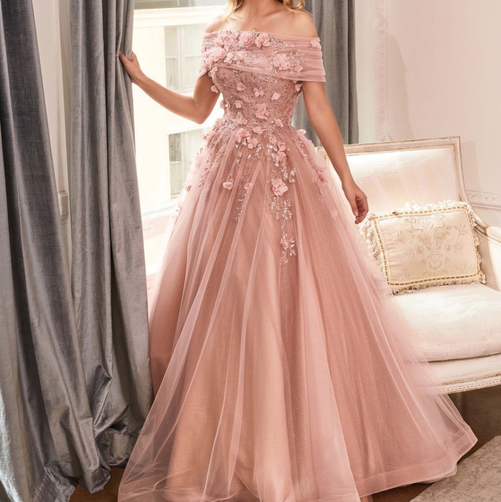 Authentic Cinderella Diving Dress